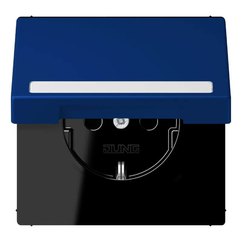Jung SCHUKO Steckdose, 16 A 250 V ~, mit Schriftfeld, Serie LS, bleu ou LC1520BFNAKL261