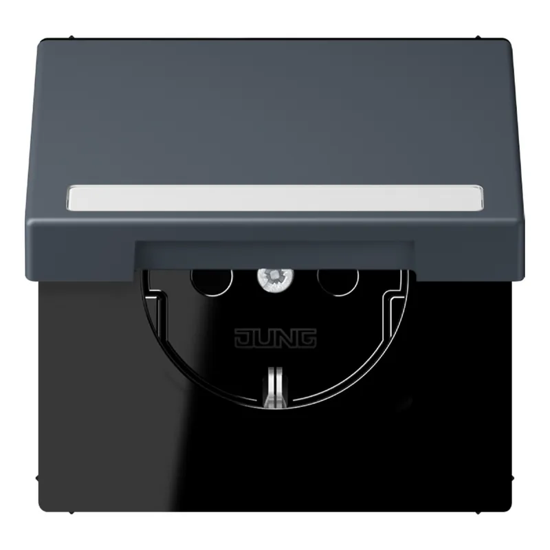 Jung SCHUKO Steckdose, 16 A 250 V ~, mit Schriftfeld, Serie LS, gris fo LC1520BFNAKL262