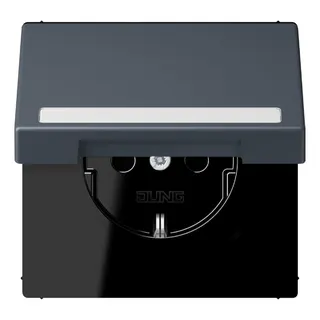Jung SCHUKO Steckdose, 16 A 250 V ~, mit Schriftfeld, Serie LS, gris fo LC1520BFNAKL262