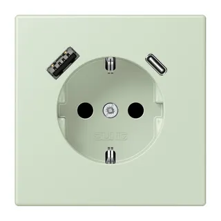 Jung SCHUKO Steckdose 16 A 250 V ~, mit USB-Ladegerät 1 x Typ A + 1 x Typ C, SAFETY+, Serie LS, vert anglâis pale LC1520-15CA218