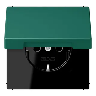 Jung SCHUKO Steckdose, 16 A 250 V ~, Klappdeckel, Serie LS, vert anglais LC1520BFKL216