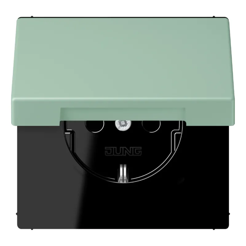 Jung SCHUKO Steckdose, 16 A 250 V ~, Serie LS, vert anglais clair LC1520BFKIKL217