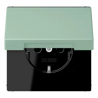 Jung SCHUKO Steckdose, 16 A 250 V ~, Klappdeckel, Serie LS, vert anglais clair LC1520BFKL217