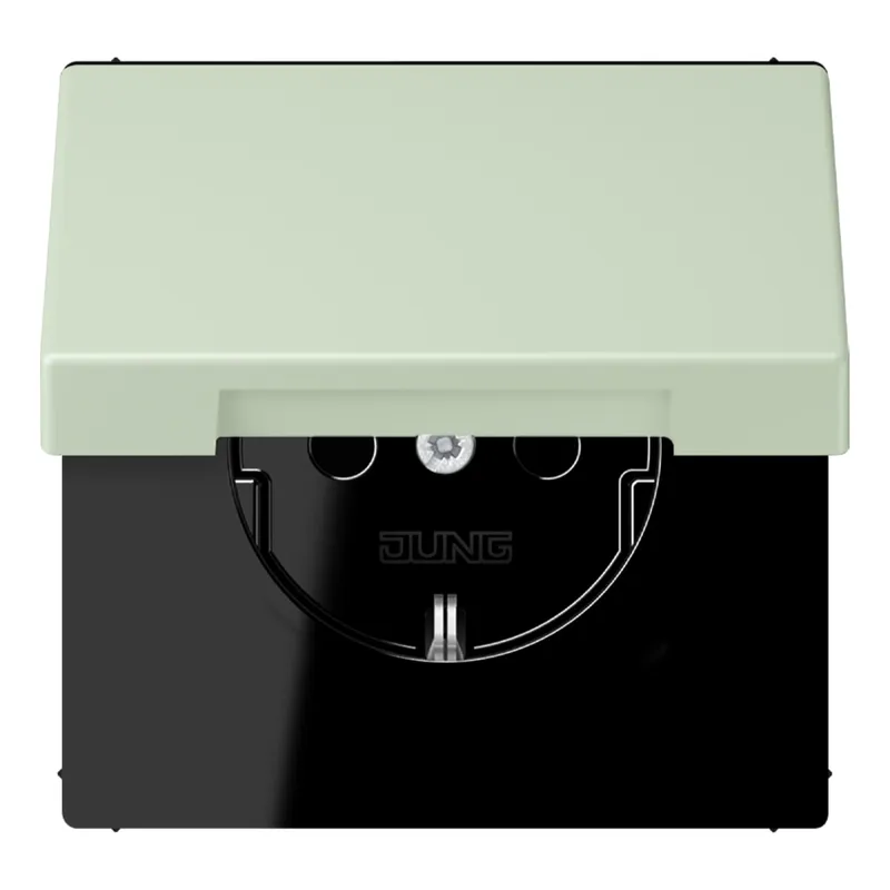 Jung SCHUKO Steckdose, 16 A 250 V ~, Serie LS, vert anglâis pale LC1520BFKIKL218