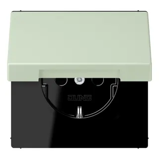 Jung SCHUKO Steckdose, 16 A 250 V ~, Klappdeckel, Serie LS, vert anglâis pale LC1520BFKL218