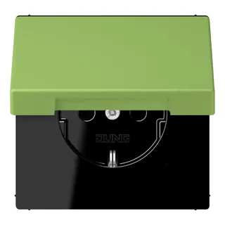 Jung SCHUKO Steckdose, 16 A 250 V ~, Klappdeckel, Serie LS, vert 31 LC1520BFKL220