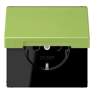 Jung SCHUKO Steckdose, 16 A 250 V ~, Klappdeckel, Serie LS, vert clair LC1520BFKL221