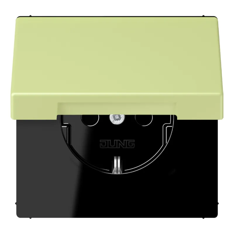 Jung SCHUKO Steckdose, 16 A 250 V ~, Serie LS, vert jaune clair LC1520BFKIKL222