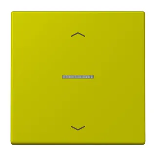 Jung HOME Taster 1fach, mit Pfeilsymbolen, Serie LS, vert olive vif BTLC17101P249