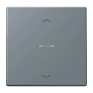 Jung HOME Taster 1fach, mit Pfeilsymbolen, Serie LS, gris 59 BTLC17101P251