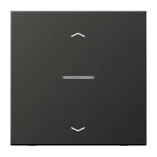 Jung HOME Taster 1fach, mit Pfeilsymbolen, Aluminium lackiert, Serie LS, anthrazit (lackiertes Aluminium) BTAL17101PAN