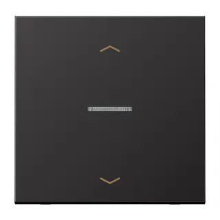 Jung HOME Taster 1fach, mit Pfeilsymbolen, Aluminium lackiert, Serie LS, dark (lackiertes Aluminium) BTAL17101PD