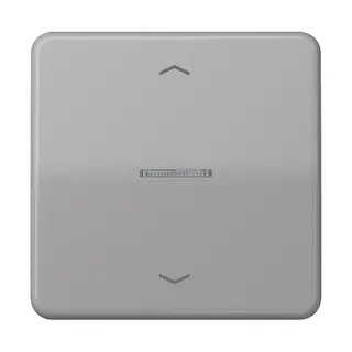 Jung HOME Taster 1fach, mit Pfeilsymbolen, Duroplast, Serie CD, grau BTCD17101PGR