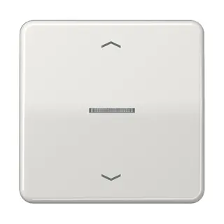 Jung HOME Taster 1fach, mit Pfeilsymbolen, Duroplast, Serie CD, lichtgrau BTCD17101PLG