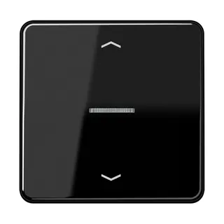 Jung HOME Taster 1fach, mit Pfeilsymbolen, Duroplast, Serie CD, schwarz BTCD17101PSW