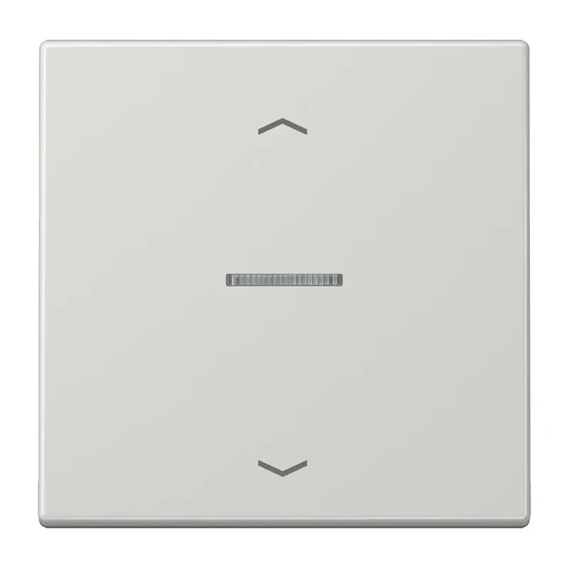 Jung HOME Taster 1fach, mit Pfeilsymbolen, Duroplast, Serie LS, lichtgrau BTLS17101PLG