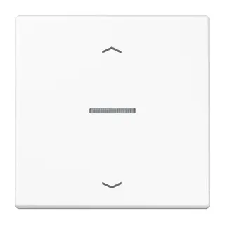 Jung HOME Taster 1fach, mit Pfeilsymbolen, Duroplast, Serie LS, alpinweiß BTLS17101PWW