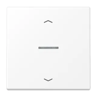 Jung HOME Taster 1fach, mit Pfeilsymbolen, Serie LS, schneeweiß matt BTLS17101PWWM