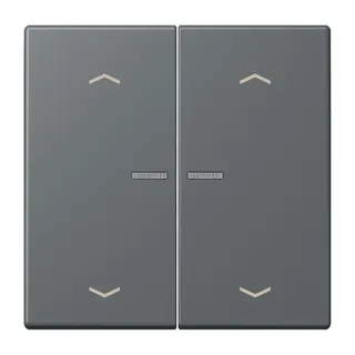 Jung HOME Taster 2fach, mit Pfeilsymbolen, Serie LS, gris foncé 31 BTLC17102P202