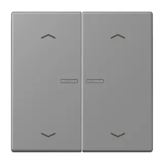 Jung HOME Taster 2fach, mit Pfeilsymbolen, Serie LS, gris 31 BTLC17102P203