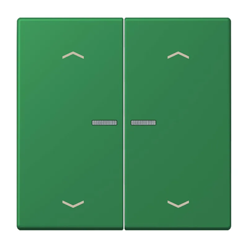 Jung HOME Taster 2fach, mit Pfeilsymbolen, Serie LS, vert foncé BTLC17102P219