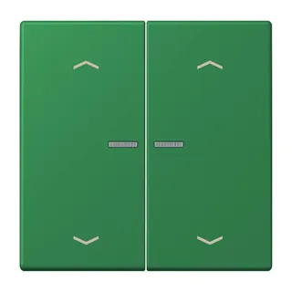 Jung HOME Taster 2fach, mit Pfeilsymbolen, Serie LS, vert foncé BTLC17102P219