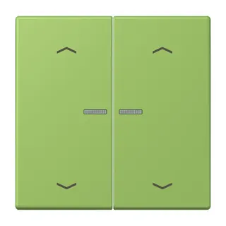 Jung HOME Taster 2fach, mit Pfeilsymbolen, Serie LS, vert 31 BTLC17102P220