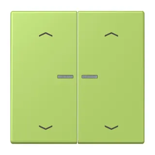 Jung HOME Taster 2fach, mit Pfeilsymbolen, Serie LS, vert clair BTLC17102P221