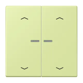 Jung HOME Taster 2fach, mit Pfeilsymbolen, Serie LS, vert jaune clair BTLC17102P222