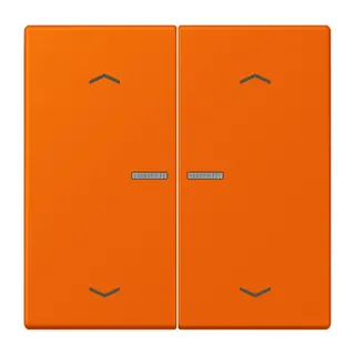 Jung HOME Taster 2fach, mit Pfeilsymbolen, Serie LS, orange BTLC17102P224