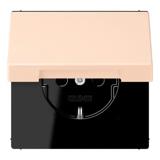 Jung SCHUKO Steckdose, 16 A 250 V ~, Klappdeckel, Serie LS, rose pâle LC1520BFKL228