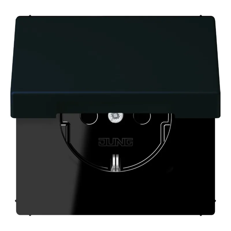 Jung SCHUKO Steckdose, 16 A 250 V ~, Klappdeckel, Serie LS, noir d'ivoire LC1520BFKL248