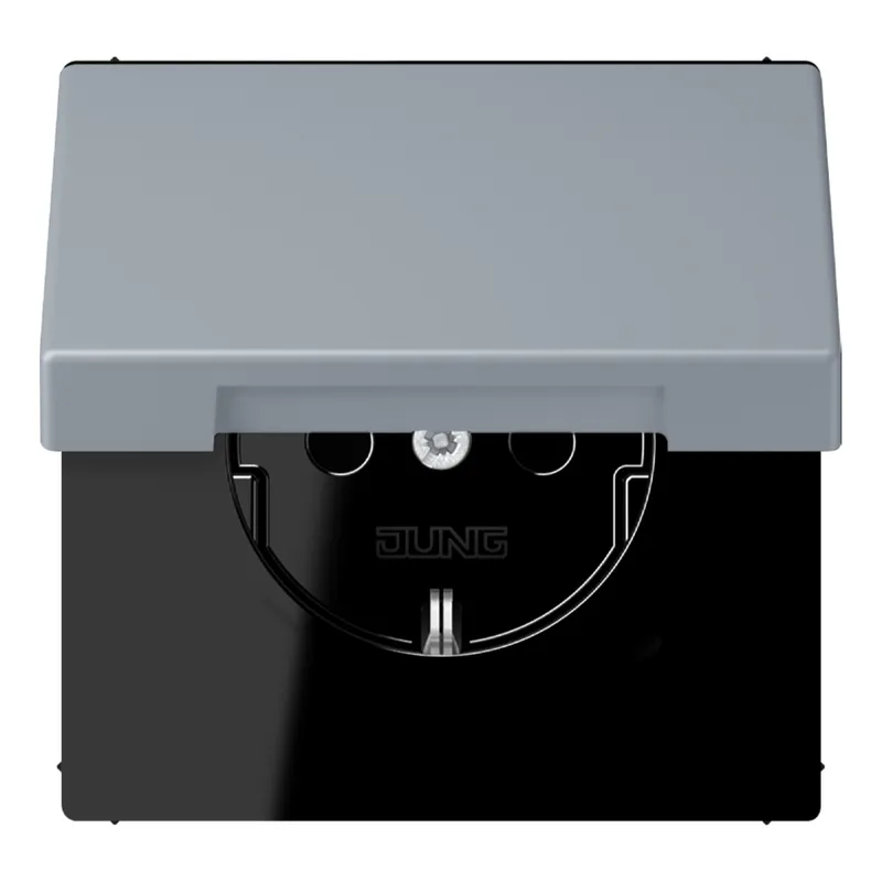 Jung SCHUKO Steckdose, 16 A 250 V ~, Serie LS, gris clair 59 LC1520BFKIKL257