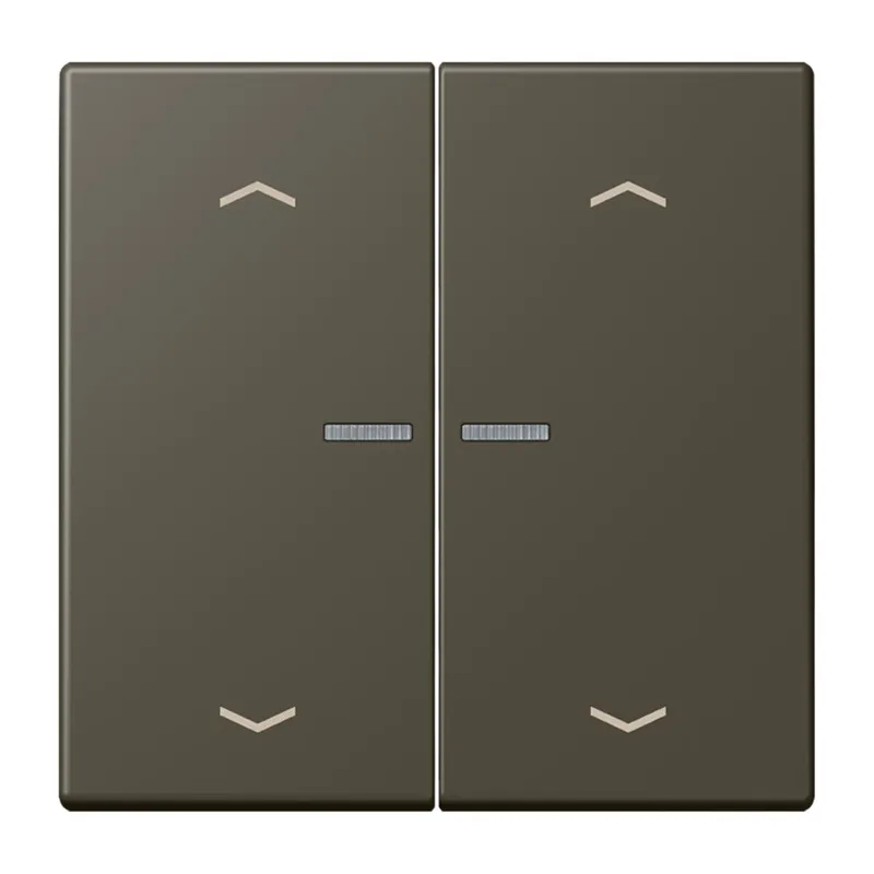 Jung HOME Taster 2fach, mit Pfeilsymbolen, Serie LS, ombre naturelle 31 BTLC17102P241