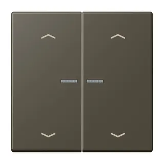 Jung HOME Taster 2fach, mit Pfeilsymbolen, Serie LS, ombre naturelle 31 BTLC17102P241