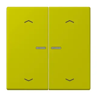 Jung HOME Taster 2fach, mit Pfeilsymbolen, Serie LS, vert olive vif BTLC17102P249