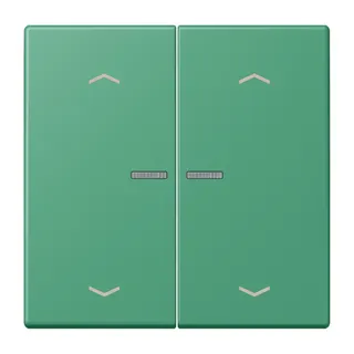 Jung HOME Taster 2fach, mit Pfeilsymbolen, Serie LS, vert 59 BTLC17102P250