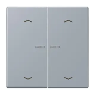 Jung HOME Taster 2fach, mit Pfeilsymbolen, Serie LS, gris clair 59 BTLC17102P257