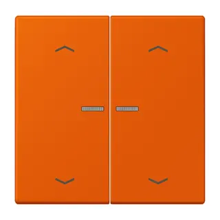 Jung HOME Taster 2fach, mit Pfeilsymbolen, Serie LS, orange vif BTLC17102P260