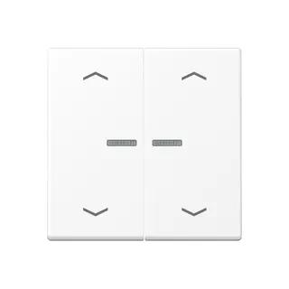 Jung HOME Taster 2fach, mit Pfeilsymbolen, Thermoplast lackiert, Serie A, schneeweiß matt BTA17102PWWM