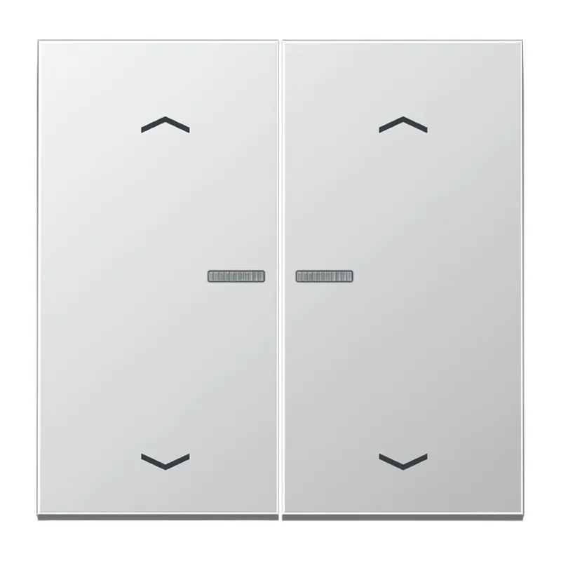Jung HOME Taster 2fach, mit Pfeilsymbolen, Serie LS, Aluminium BTAL17102P