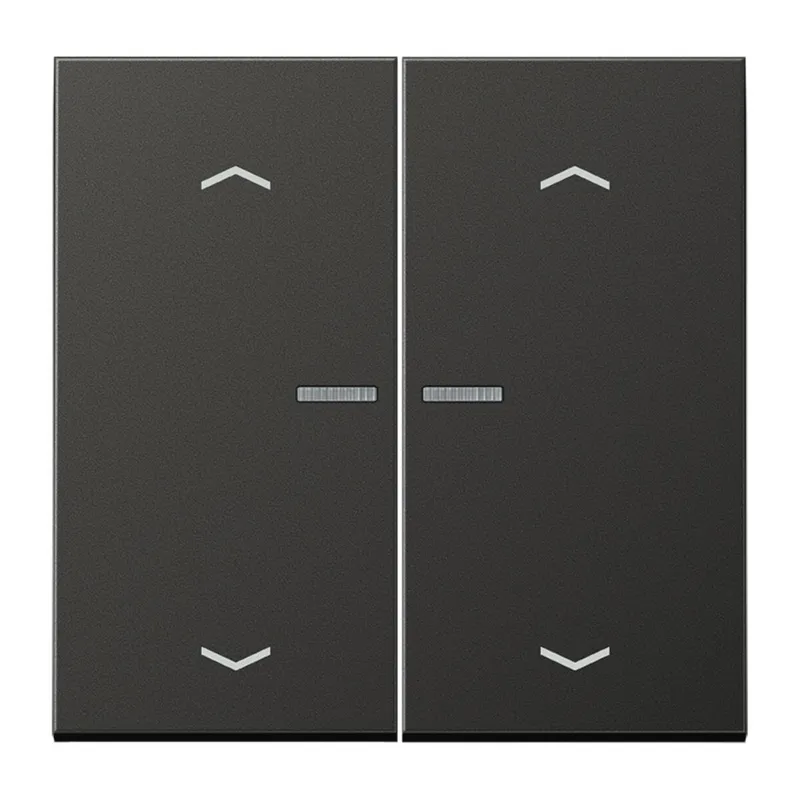 Jung HOME Taster 2fach, mit Pfeilsymbolen, Aluminium lackiert, Serie LS, anthrazit (lackiertes Aluminium) BTAL17102PAN