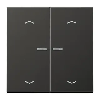 Jung HOME Taster 2fach, mit Pfeilsymbolen, Aluminium lackiert, Serie LS, anthrazit (lackiertes Aluminium) BTAL17102PAN