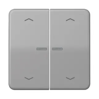 Jung HOME Taster 2fach, mit Pfeilsymbolen, Duroplast, Serie CD, grau BTCD17102PGR