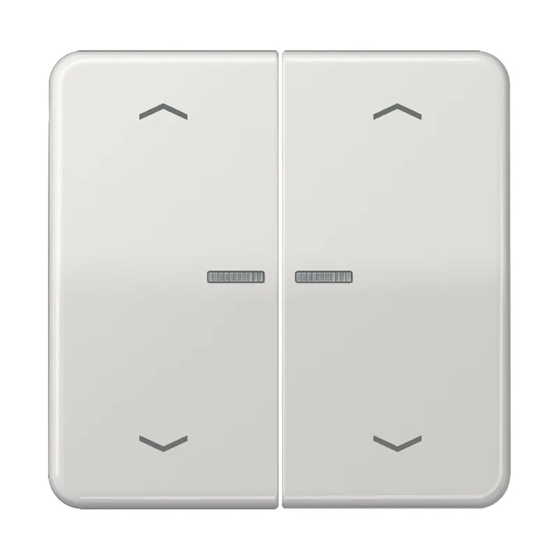 Jung HOME Taster 2fach, mit Pfeilsymbolen, Duroplast, Serie CD, lichtgrau BTCD17102PLG