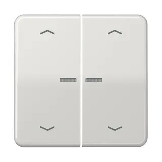 Jung HOME Taster 2fach, mit Pfeilsymbolen, Duroplast, Serie CD, lichtgrau BTCD17102PLG