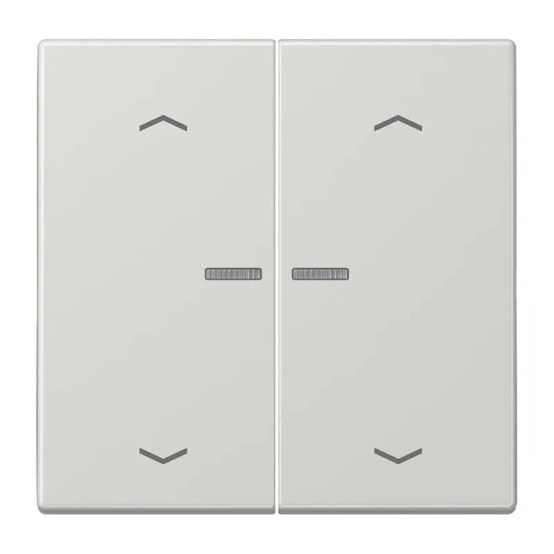 Jung HOME Taster 2fach, mit Pfeilsymbolen, Duroplast, Serie LS, lichtgrau BTLS17102PLG