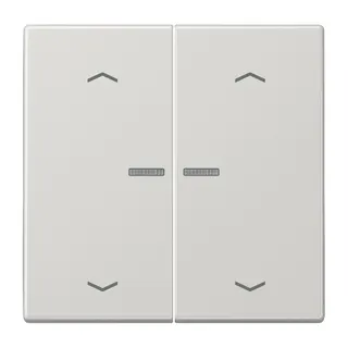 Jung HOME Taster 2fach, mit Pfeilsymbolen, Duroplast, Serie LS, lichtgrau BTLS17102PLG