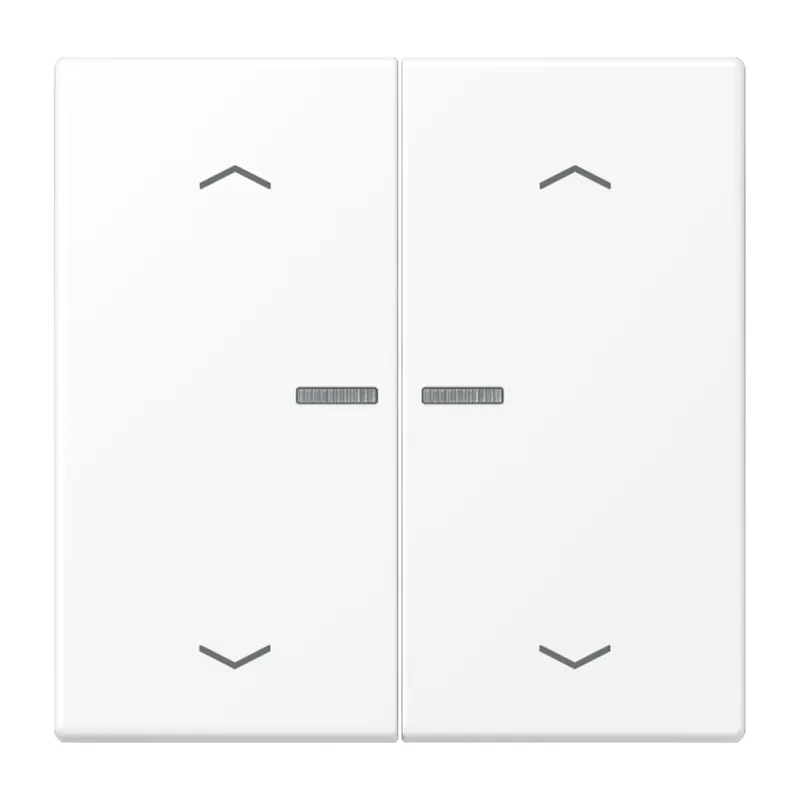 Jung HOME Taster 2fach, mit Pfeilsymbolen, Serie LS, schneeweiß matt BTLS17102PWWM