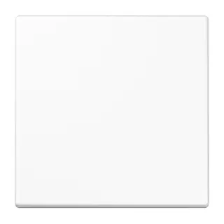 Jung Wippe 1fach, Duroplast antimikrobiell, Serie LS, alpinweiß SPLS990WW